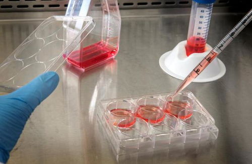 奧浦邁回應(yīng)監(jiān)管問詢，深入解讀產(chǎn)品競(jìng)爭(zhēng)格局與技術(shù)地位